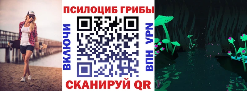 купить наркотики сайты Харовск Галлюциногенные грибы Psilocybe